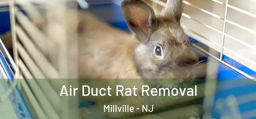  Air Duct Rat Removal Millville - NJ