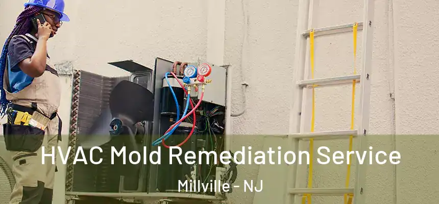 HVAC Mold Remediation Service Millville - NJ