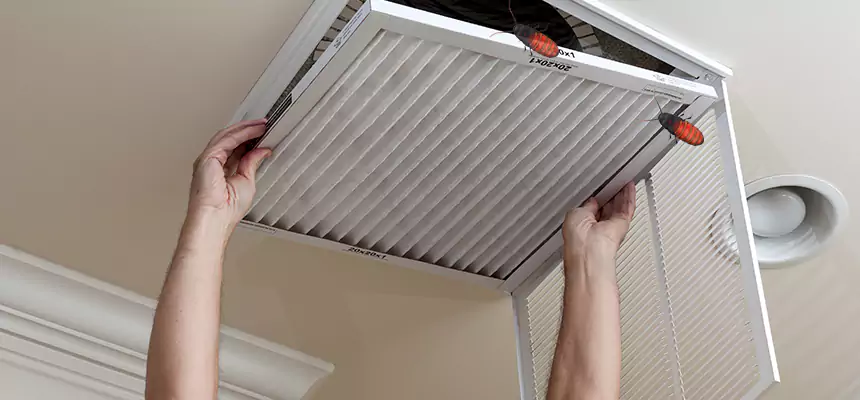 Preventive Cockroach-Proofing for Ducts in Millville