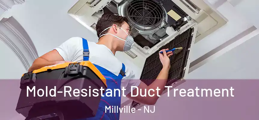 Mold-Resistant Duct Treatment Millville - NJ