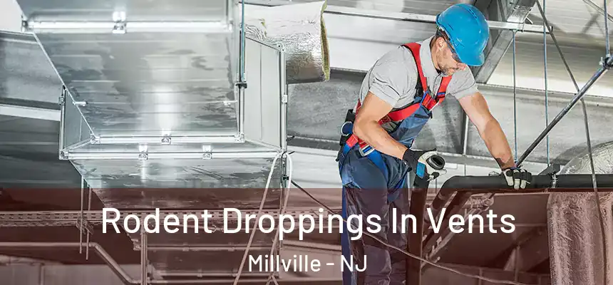  Rodent Droppings In Vents Millville - NJ