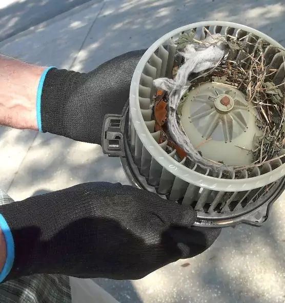 About Air Duct Mice Removal in Millville, NJ