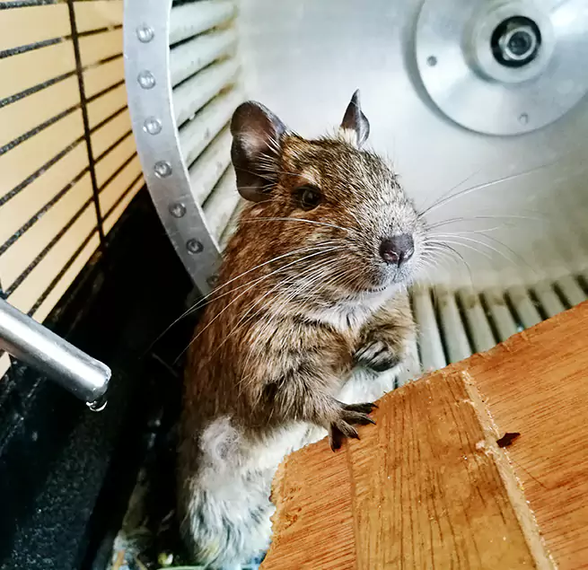 Why Homeowners & Businesses Trust Us Millville, NJ?