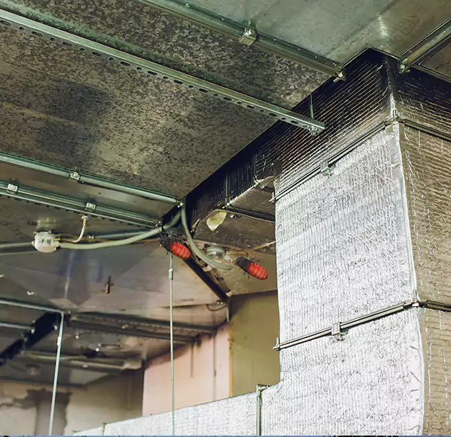 Why Homeowners & Businesses Trust Us Millville, NJ?